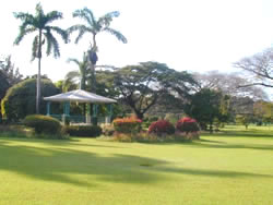 Jamaica National Heritage Trust Jamaica Hope Botanical Garden