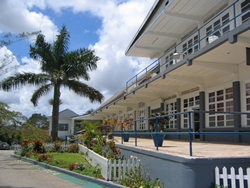 Northern Caribbean University